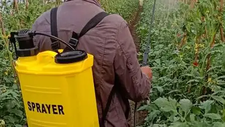 Agrochemische Desinfektion Sterilisation Landwirtschaftlicher Rucksack Bauernhof Garten Batterie Elektrischer Rucksack Handmanueller Sprüher (HT-20H)