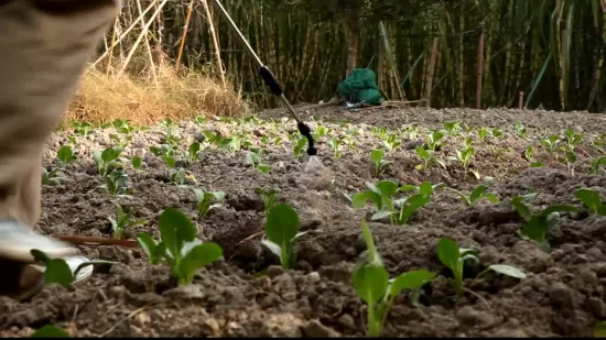 Rainmaker 16L landwirtschaftliches, batteriebetriebenes, tragbares Sprühgerät